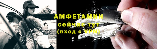 крисы Коряжма