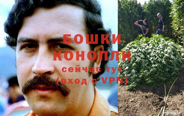 крисы Коряжма