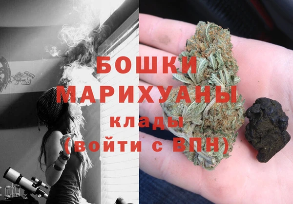 шишки Корсаков