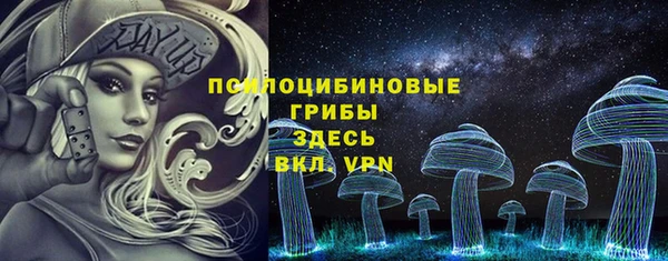 крисы Коряжма