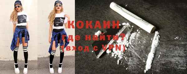 шишки Корсаков