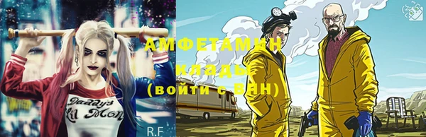 шишки Корсаков