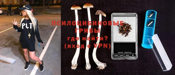 крисы Коряжма