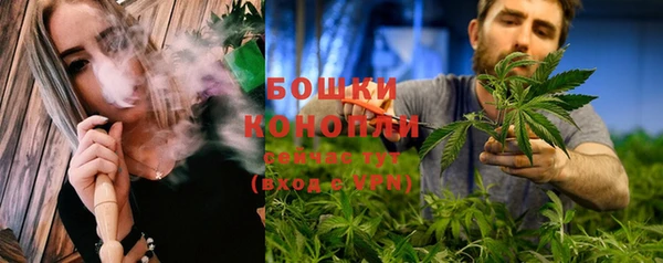шишки Корсаков