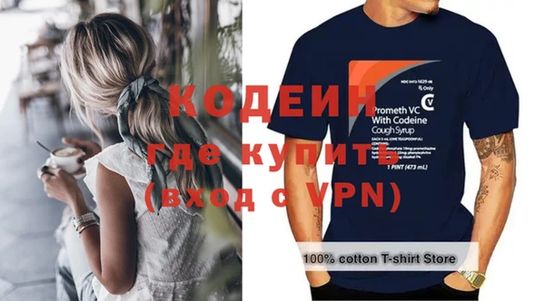крисы Коряжма