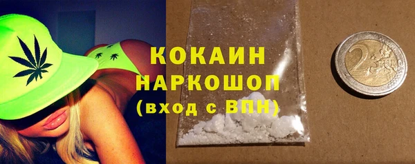 шишки Корсаков