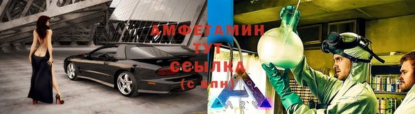крисы Коряжма