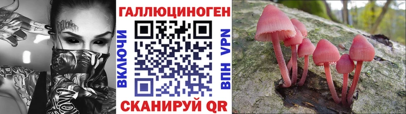 Псилоцибиновые грибы GOLDEN TEACHER  Купить где  Курганинск 
